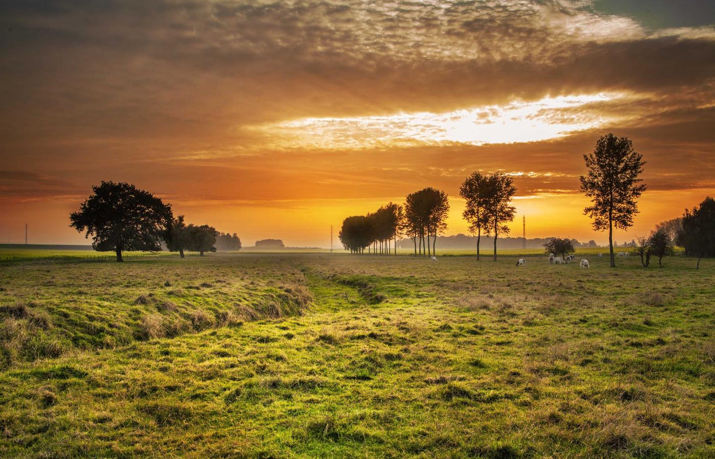 Pessoa a meditar em ambiente calmo