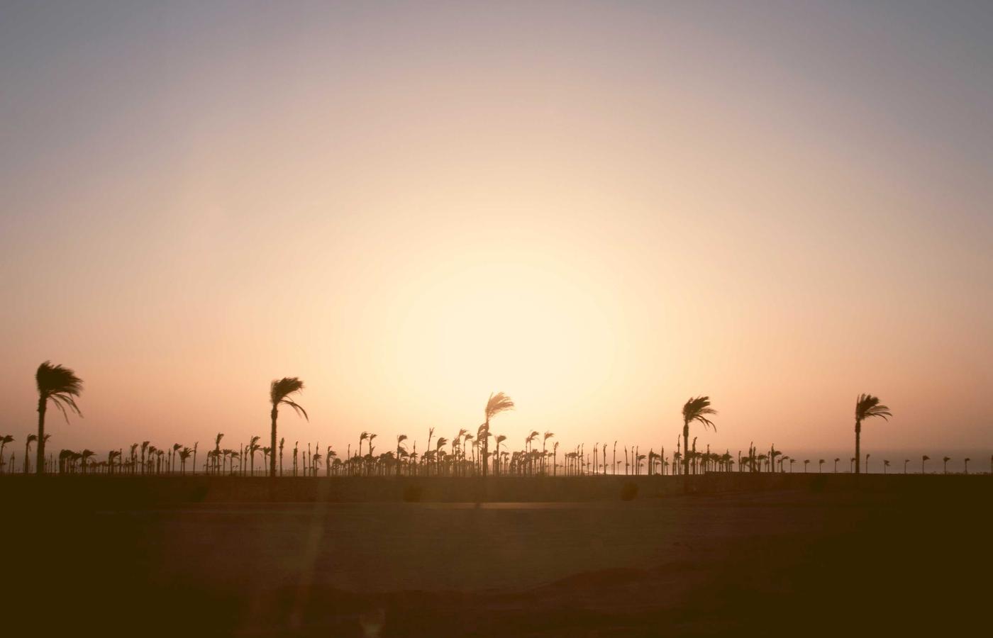 Mindfulness Corporativo